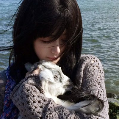 喜羊羊与灰太狼之羊年喜羊羊