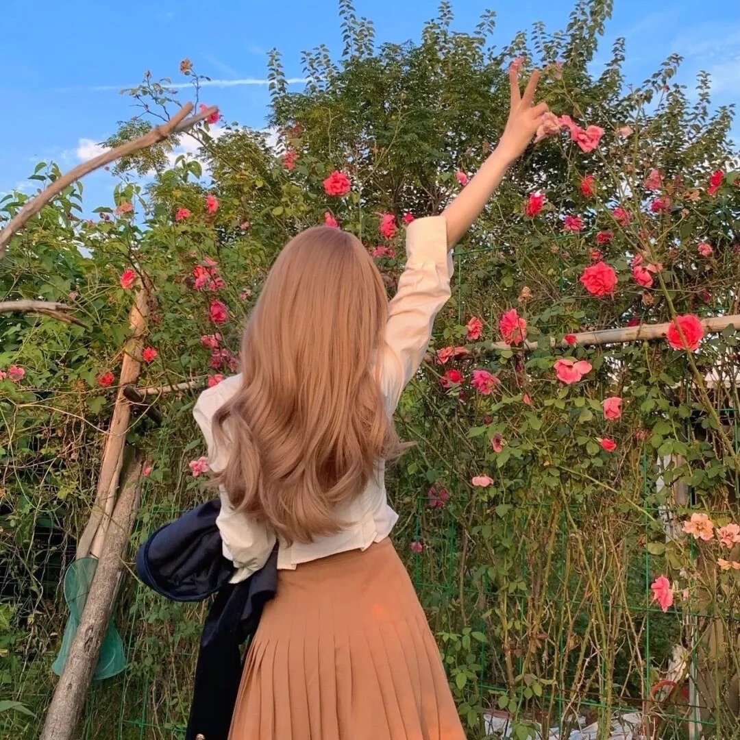 法律与秩序第二十四季